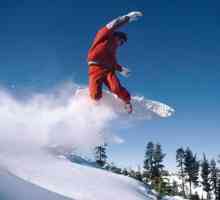 Ce sunt sporturile de iarnă? Biatlon. Bobslei. Schi alpin. Trasee de schi. Sărind dintr-o rampă de…