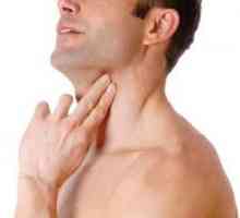 Care sunt funcțiile glandei tiroide la bărbați?