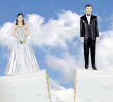 Ce documente sunt necesare pentru divorț cu un copil? Unde ar trebui să înregistrez divorțul?