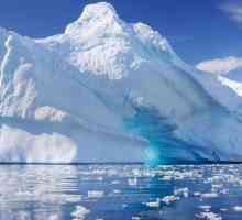 Ce oceane spală Antarctica? Clima și ecosistemul Antarcticii