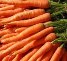 Ce vitamine se găsesc în morcovi și ficat și care este utilizarea lor