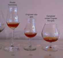 Care ar trebui să fie ochelarii pentru coniac? Care este numele paharului de cognac?
