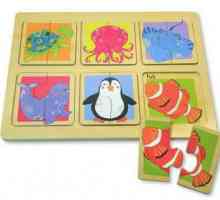 Ce ar trebui să fie puzzle-uri pentru copii de 2 ani?