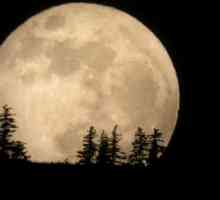 Ce corp ceresc este mai mare - Luna sau Mercur? De ce ar trebui aceste corpuri cerești să fie utile…