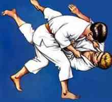 Care este semnificația culorii centurii în judo