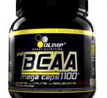 Care este BCAA: aminoacizi în pulbere, tablete, capsule