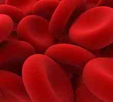 Ce ar trebui să fie hemoglobina la bărbați? Norma de hemoglobină la bărbați în funcție de vârstă