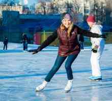 Care patinoar din Chelyabinsk să aleagă? Realizăm o analiză comparativă