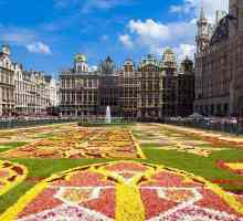 Ce legume este numită după capitala Belgiei?