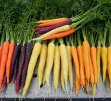 Ce vitamina se găsește în morcovi în cantități mari?