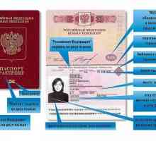Care este data fabricării pașaportului? Termenul de fabricare a unui pașaport nou și vechi
