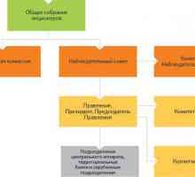 Care este structura organizatorică a Sberbank