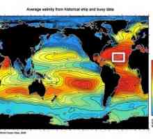 Care este salinitatea Oceanului Atlantic?