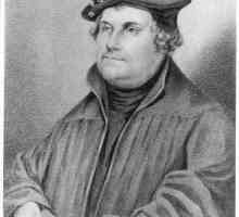 Care sunt principalele idei ale lui Martin Luther și care este rolul său în procesul Reformei?