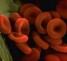 Ce rol joacă sângele arterial în organism?
