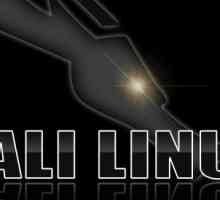 Kali Linux: instalați pe unitatea flash USB. Instruire scurtă