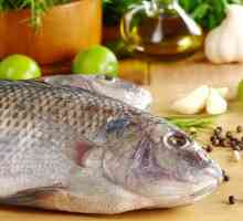Conținut caloric: tăițe de pește. Conținutul caloric al tăieturilor de pește