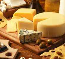 Conținutul caloric al brânzei tari: masa de calorii