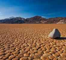 Desert desert: tipuri, descriere, educație