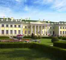 Palatul Kamennoostrovsky din Sankt-Petersburg: adresa, poza