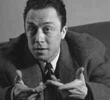 Camus, "Stranger": un scurt rezumat. Albert Camus, "Stranger": analiză
