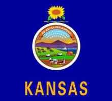 Kansas: floarea-soarelui și barnardul Americii