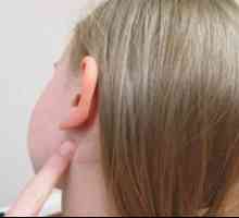 Căști pentru urechi `Danzil`: instrucțiuni de utilizare, preț, descriere, analogi…