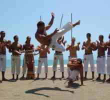 Capoeira - ce este, arta martiala sau dansul?