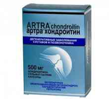 Capsule "Artra Chondroitin": instrucțiuni de utilizare, analogi