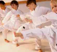 Karate pentru copii: beneficii și contraindicații