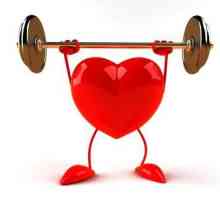 Echipamente cardiovasculare pentru casă: recenzii. Echipament cardiovascular eliptic: preturi