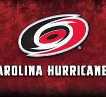 `Caroline Hurricanes `- Echipa NHL, și-a schimbat numele și permisul de ședere