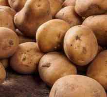 Cartof Colombo: descriere, cultivare, proprietăți utile