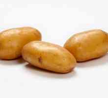 Potato Lady Claire: o descriere a gradului, fotografie, recenzii. Când să plantezi cartofi?…