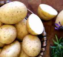 Cartofi din cartofi: rețetă cu lapte și ouă, caracteristici de gătit și recenzii