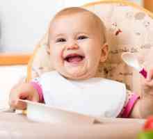 Porridge Baby Sitter: răspunsuri ale părinților și pediatrilor
