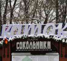 Patinoar în parcul `Sokolniki`: program, călătorie, prețuri și recenzii