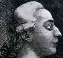 Casanova este cine? Istoria lui Giacomo Casanova. Sensul modern al cuvântului "kazanova"