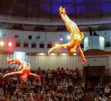 Kiev Circus: istoria unui astfel de divertisment minunat în capitala ucraineană