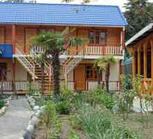 Cypress alley în Pitsunda: comentarii despre cabane