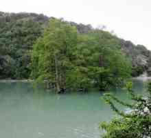 Cypress Lake (Sukko): descriere, caracteristici, fotografie