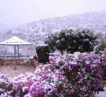 Cipru în ianuarie. Merită să se odihnească pe insulă în timpul iernii