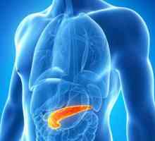 Chistul pancreasului: simptome și tratament, unde este și cum doare