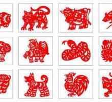 Semnele zodiacale chinezești: Caracteristici