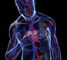 Классификация аритмий сердца
