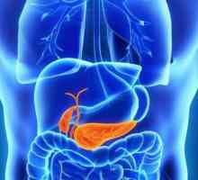 Clasificarea pancreatitei cronice și a formei acesteia