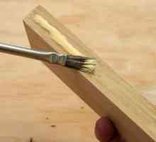 Adeziv Titebond pentru lemn: specificații, instrucțiuni