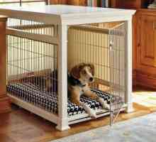 O cușcă pentru câini într-un apartament. Cum de a obișnui câinele în apartament în cușcă?