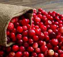 Cranberries pentru pierderea in greutate: retete, recenzii