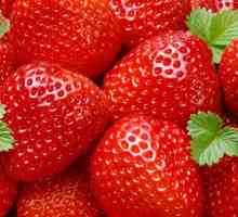 Strawberry Crown: o descriere a soiului, recenzii